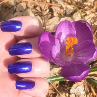 zoya nail polish and instagram gallery image 1